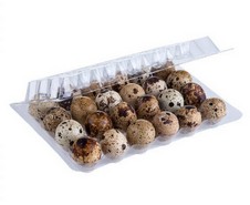 Huevos Campesino Codorniz 24 und
