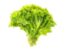 Lechuga Crespa Unidad