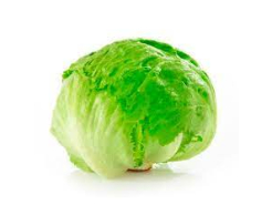 Lechuga Batavia Unidad