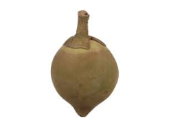 Zapote Kilo
