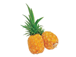 Piña Oro Miel S/C