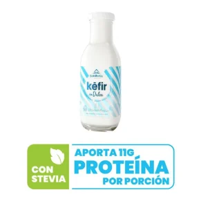 Yogurt San Martin Kefir Natural X 220