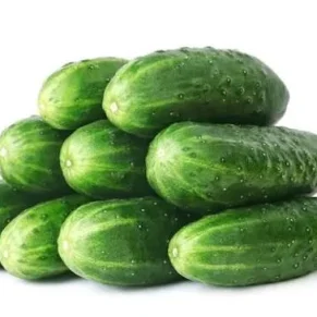 PEPINO OFERTA